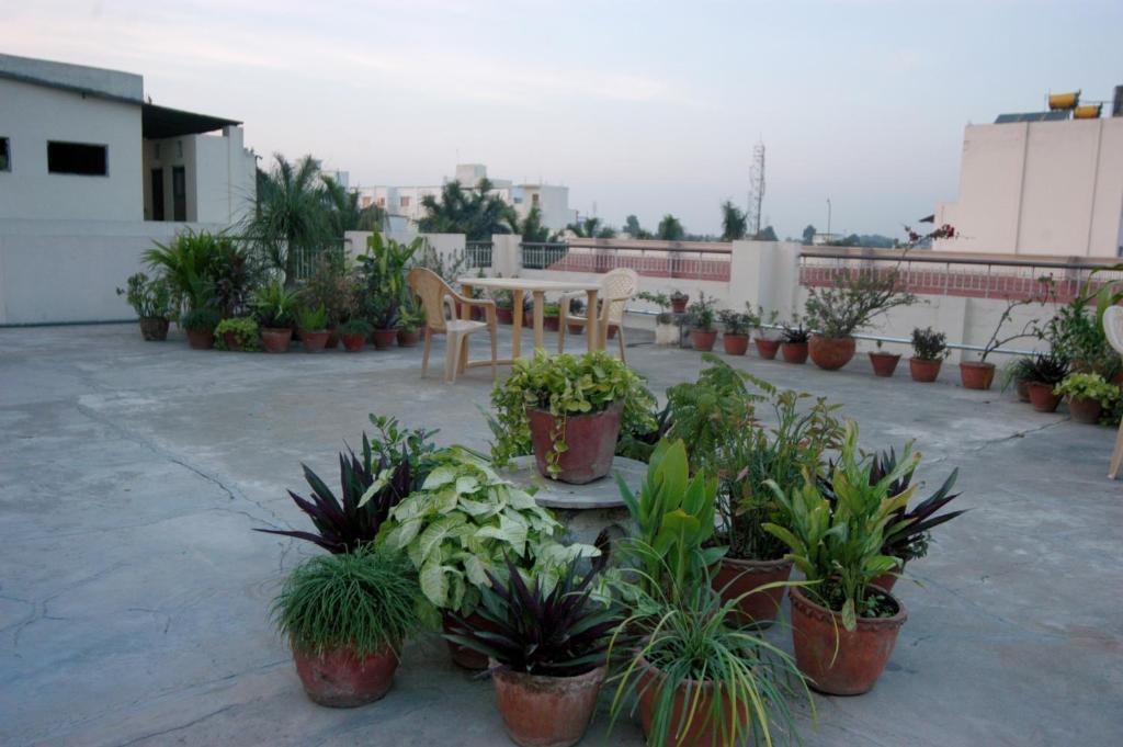 Hotel Ajaya Varanasi Eksteriør billede